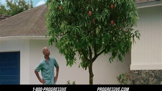 Progressive TV Spot, 'Mangos'