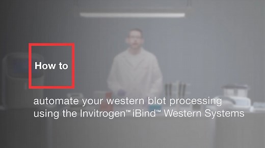 How to automate your western blot processing using the Invitrogen iBind Western Systems  - Scientific Videos | Thermo Fisher Scientific US