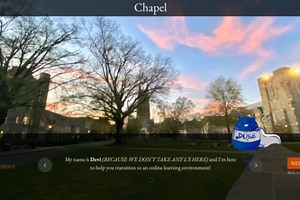 The Remote University Experience