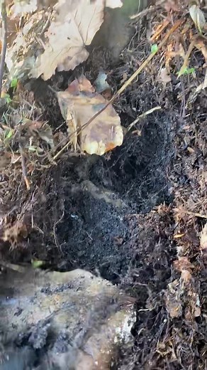 #коп #ww1 #xpdeus #находки #находка #пошукзметалошукачем #пошук #ww1 #metaldetecting #metaldetector #1914