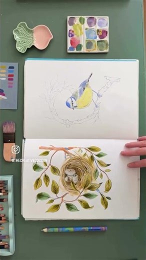 Spring is the best time to start a nature journal