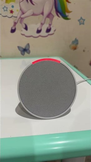 Echo pop lost connection