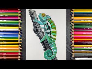 Realistic Chameleon Drawing | Colour Pencil Timelapse Art