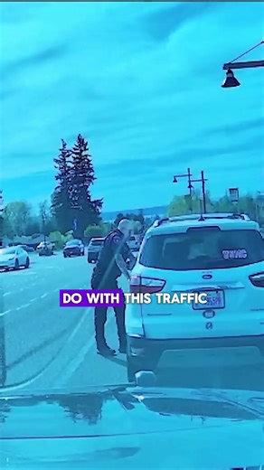 What Started as a Simple Traffic Stop Turns Wild and Chaotic Within Seconds #fyp, #foryou, #foryoupage #viral, #tiktokviral