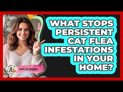 What Stops Persistent Cat Flea Infestations In Your Home? - Happy Cat Handbook
