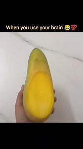 103K views · 806 reactions | 易易易 | Funny Bro | Facebook