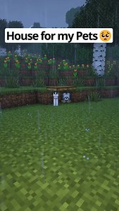 Minecraft House for my Pets🐶🐱 #minecraft #minecraftbuilding #minecraftbuilds #minecrafttutorial | Blockical Blockical