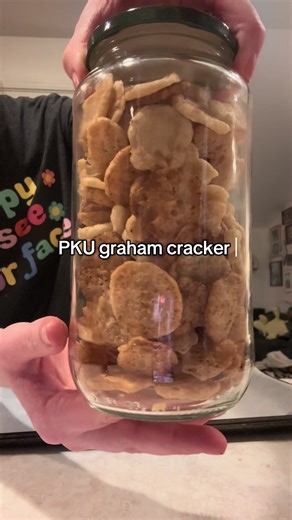 Delicious PKU-Friendly Graham Cracker Bites Recipe
