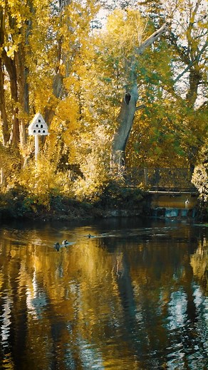 Once a forgotten gem on the River Soar where it had been perched for over a thousand years. Cotes Mill is now the home of deVOL and is just as magical outside as it is in... | deVOL Kitchens