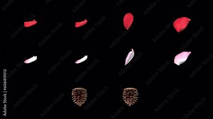 NATURE ELEMENT Petals Pinecone withAlpha. Looping elements that can be isolated as sprites to use as textures with an alpha channel.