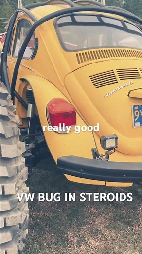 VW Bug Beetle Rogue Motor Show Merlin Oregon Southern Oregon