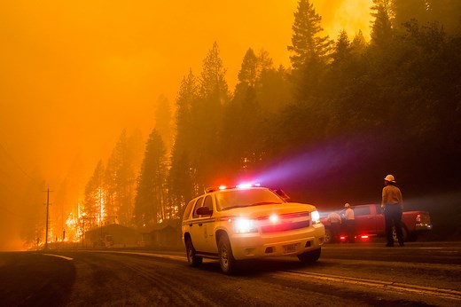 How to Drive Through a Forest Fire