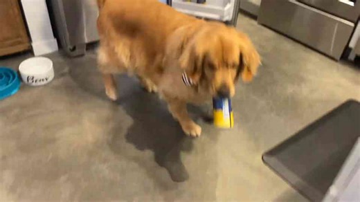 How I taught Ellie to grab a beer