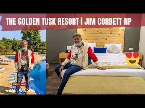 Golden Tusk Resort | Best Luxury Resort in Jim Corbett | 5 star Hotel | Where to stay in Jim Corbett