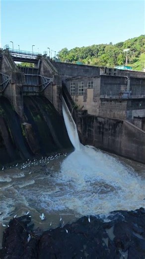 Así Descarga Agua la Represa de Carraízo en Trujillo Alto | Poder de la Naturaleza en 4K