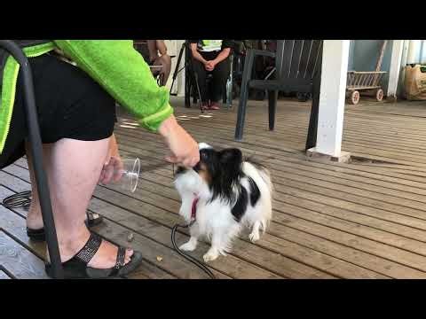 Target training, a great game