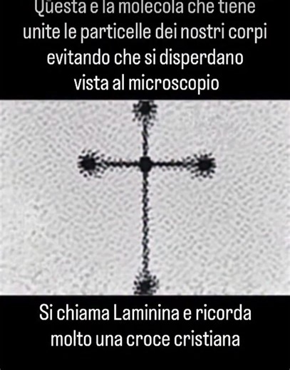 87K views · 1.7K reactions | La scienza osserva. L’anima riconosce....