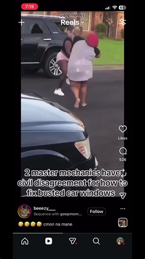 LaGene (@_.lagene)’s video of the bat lady