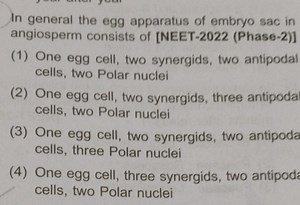 Question: Composition of the Egg Apparatus of the Embryo Sac in... | Filo