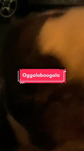 A message from Cowboy #dogs #fyp