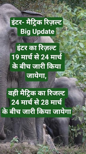 #school #educationdepartment #bihareducation