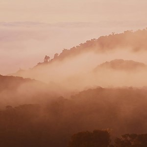 19 reactions | Coming home means more at Ashcroft. New homes & 5,000 sqm of resident amenity, coming soon to Flagstone. | Millbray | Facebook