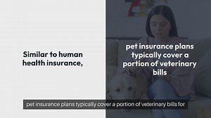 Pet Health Insurance