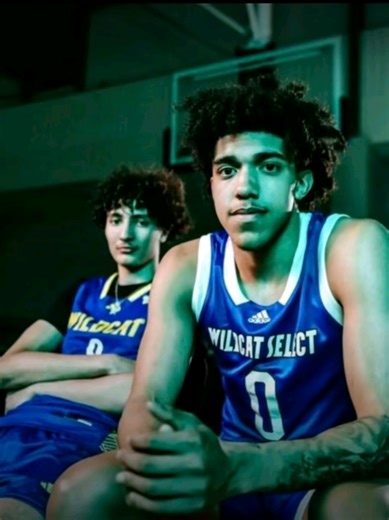 Android Transition Showcase: How to Escape the Cage