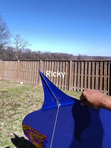 The Joy of Kite Flying: A Fun Outdoor Activity