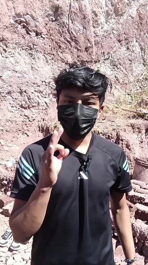 TUTORIAL DE CÓMO HACER MILANESA DE PLÁTANO 🍌@TIM Carlos Djc 🐊