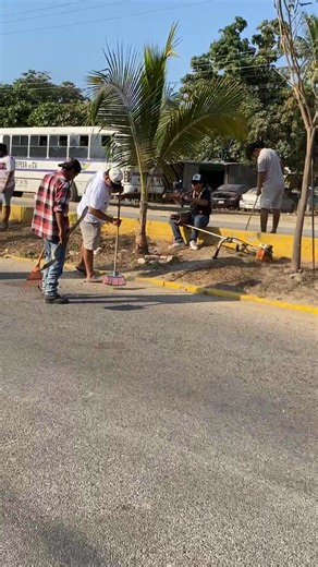 Tequio por Puerto Escondido. Un grupo de jóvenes de la Ciudad de Puerto Escondido decidieron salir a las calles y poner el ejemplo de trabajar por la Ciudad. Sobre el camellón de la Av Oaxaca , en la Colonia Aeropuerto pusieron manos a la obra y en conjunto desde antes de las 06:00 am se dieron paso . | El mundo al revés