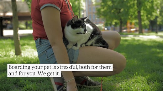 Pet Boarding Master Plan: A 10-Min Stress-Free Guide
