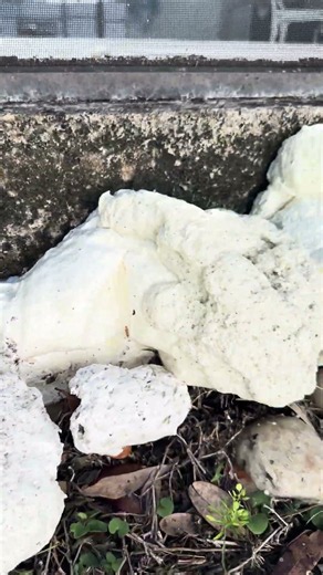 We FILLED These Hidden Voids With Polyurethane Foam! | 727-537-6025