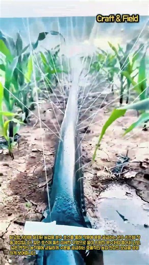 가뭄 걱정 끝! 밭 전체에 물을 흩뿌리는 마법의 농업용 호스 #worker #process #farming #irrigation #agriculture