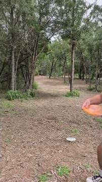 Nocturnal Soft Pizza vs Sublime Alpha from #mintdiscs #discgolf