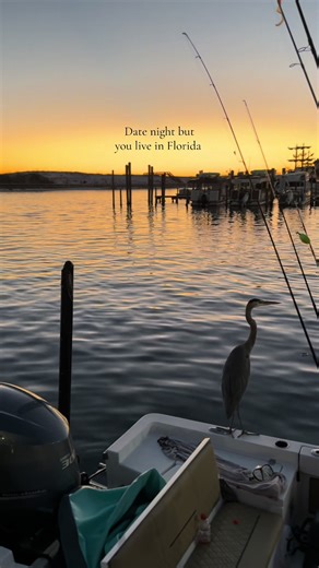 Unforgettable Date Nights in Florida