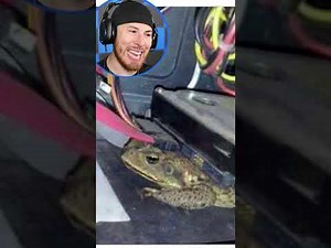 Software failures and glitches in unexpected ways