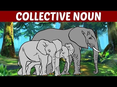 What is COLLECTIVE NOUN - Learn English Grammar | Fun Kids Learning Video