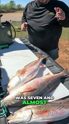 Fisherman's Epic Catch: Cleaning Station Setup & Big Fish! #shorts