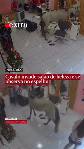 Um cavalo surpreendeu clientes e funcionários ao invadir um salão de beleza em Teresina (PI) nesta terça-feira, 11. O animal caminhou até a área de atendimento e ficou parado diante de um espelho, como se observasse o próprio reflexo. As câmeras de segurança registraram toda a cena curiosa. Ninguém ficou ferido, e o cavalo deixou o local logo depois. Imagem: Reprodução Veja matérias exclusivas e textos opinativos no ojornalextra.com.br 📱💻