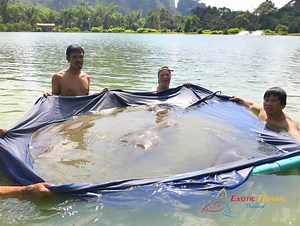 The most amazing fishing holiday experience in Thailand is here at Exotic Fishing Thailand. Check out our brand new website www.exoticfishingthailand.com with inclusive fishing holiday packages for single anglers, couples and families. As an SHA PLUS resort we are open to new or rescheduled bookings for tourists arriving directly from Phuket airport after November 1st. Book a 3day 5day or 7day "Test and GO" or "Sandbox" package after which you can travel anywhere in Thailand. Thailand is more be