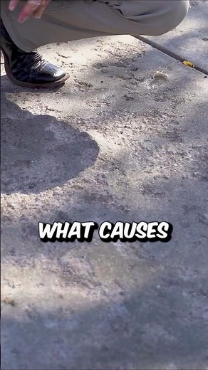 Freeze Thaw Damage Ruining Your Concrete? Seal It Before It’s Too Late!