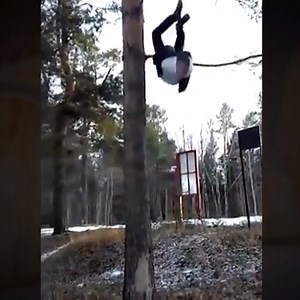 Trees losing their teenage males is the first sign of winter. | Tosh.0