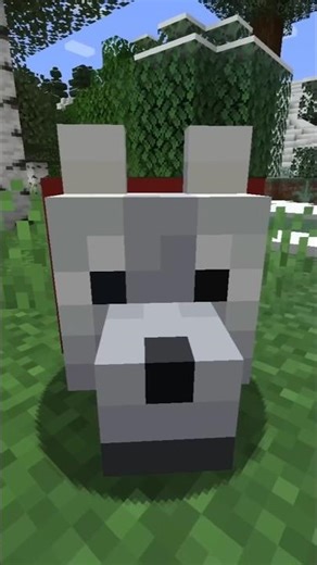 Top 5 Rarest Dogs In Minecraft #youtube