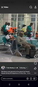 8.5K views | Online Parrot on Reels | Facebook