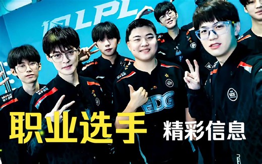 LOL职业选手消息9.5期刊