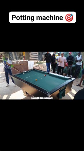 29K views · 368 reactions | Potting machine  | Pool Addicts | Facebook