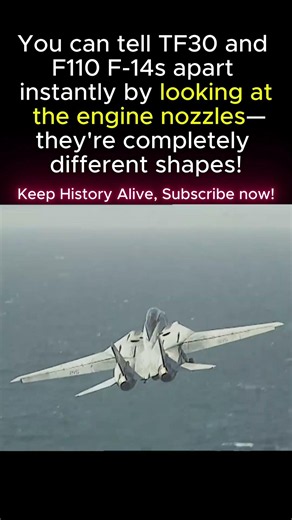 Spot TF30 vs F110 F-14s INSTANTLY. Look At The Engine Nozzles. COMPLETELY Different.