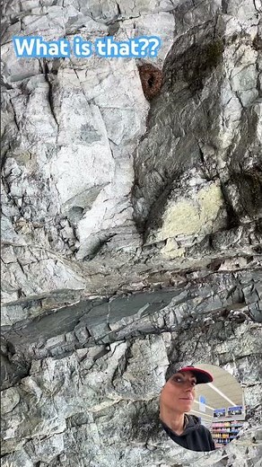There are two types of glaciation … big continental ice sheets and alpine or mountainous piles #fyp