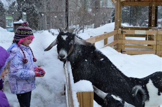 Roger Williams Park Zoo offers free, half-price admissions this winter